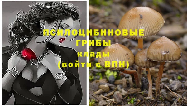 гашиш Алзамай