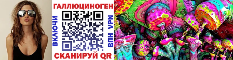 закладка  Льгов  Галлюциногенные грибы Magic Shrooms 